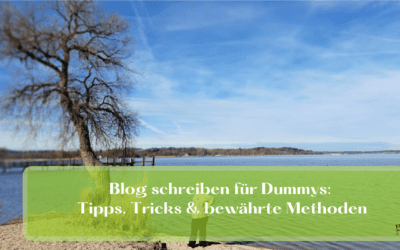 Blog schreiben für Dummys: Tipps, Tricks &  bewährte Methoden