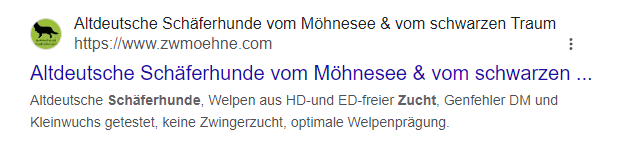 Ein zu langer SEO-Titel.