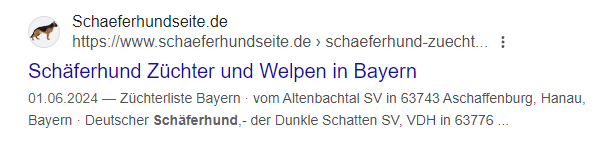 So passt der SEO-Titel.