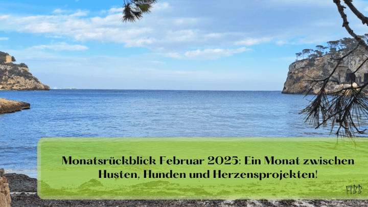 Monatsrückblick Februar 2025